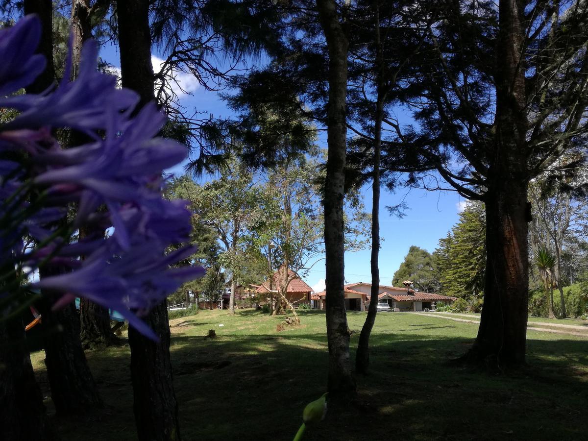 Al Bosque Hostel & Glamping Santa Elena  Eksteriør billede