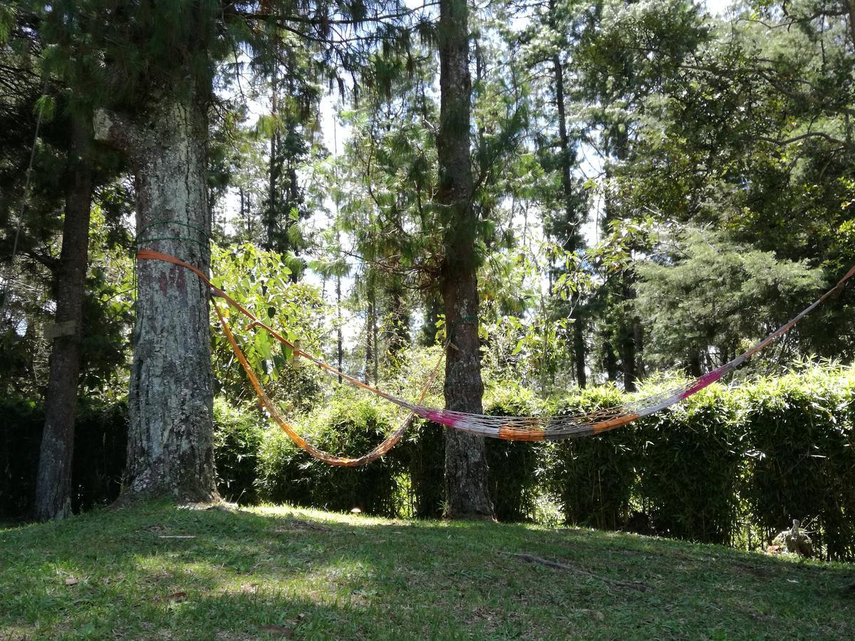 Al Bosque Hostel & Glamping Santa Elena  Eksteriør billede