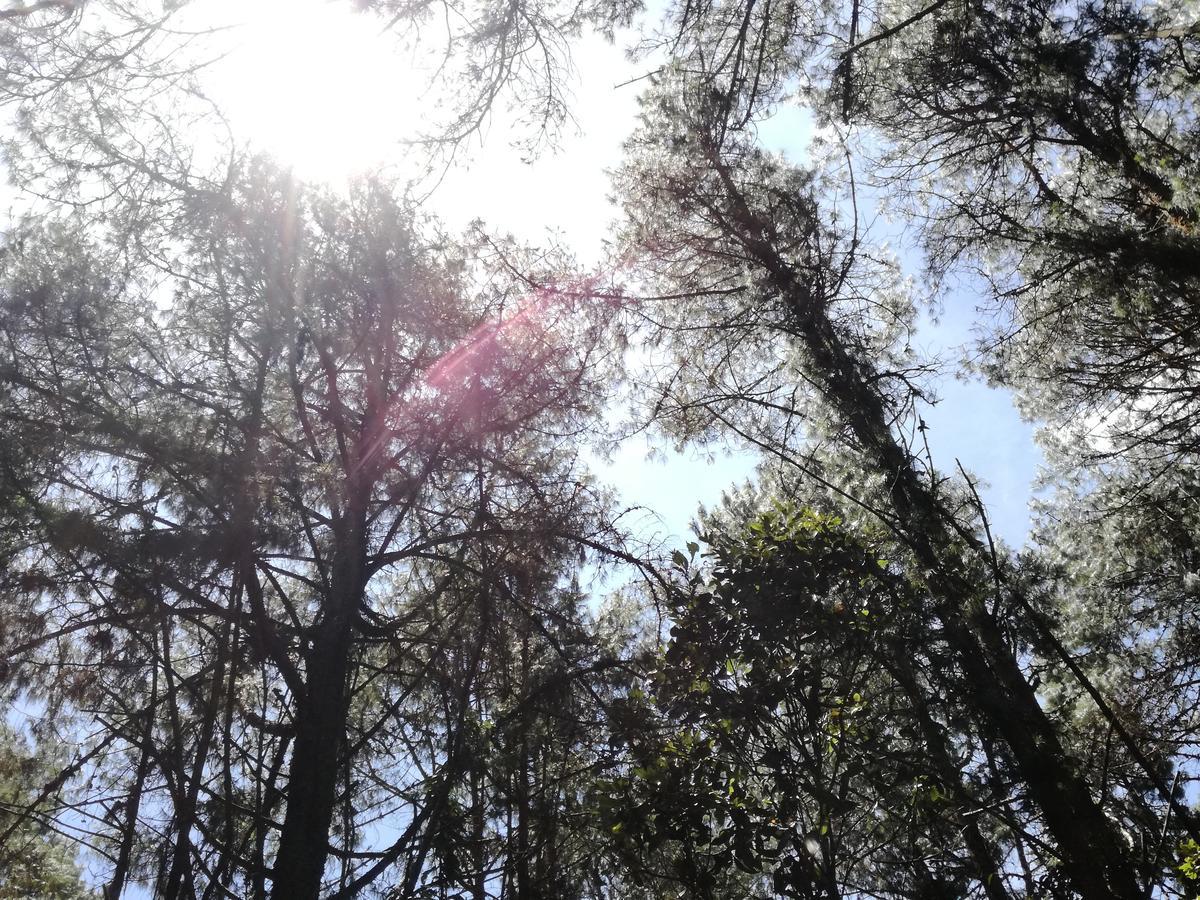 Al Bosque Hostel & Glamping Santa Elena  Eksteriør billede