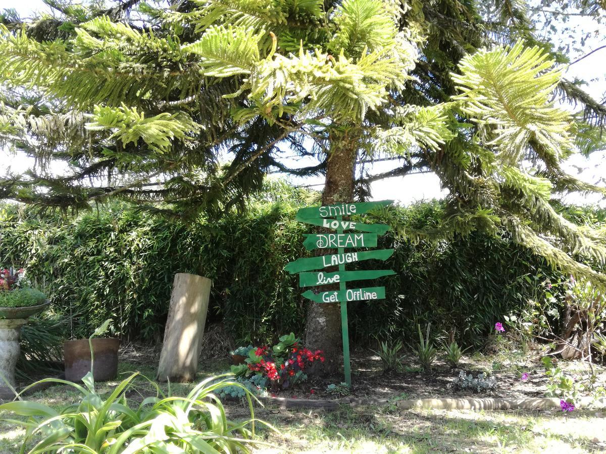 Al Bosque Hostel & Glamping Santa Elena  Eksteriør billede