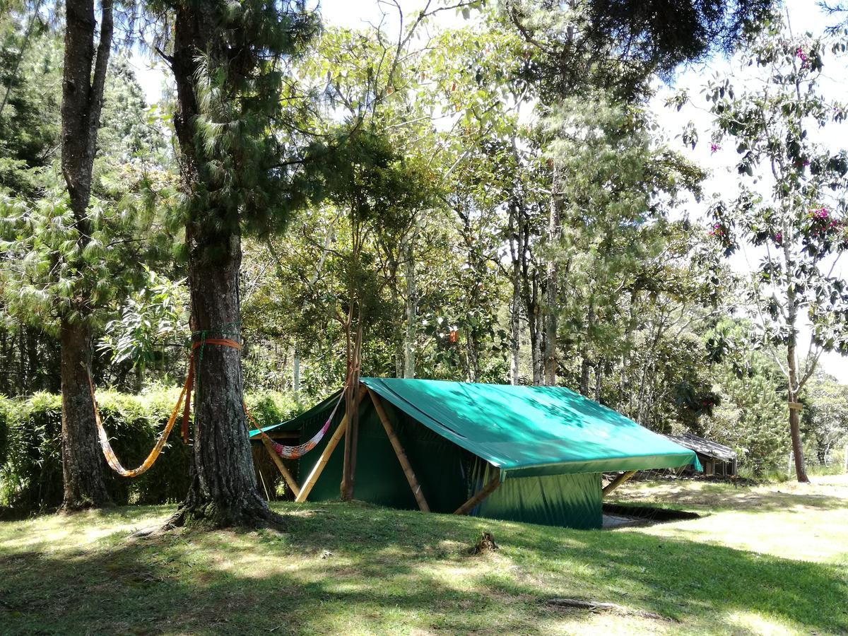 Al Bosque Hostel & Glamping Santa Elena  Eksteriør billede