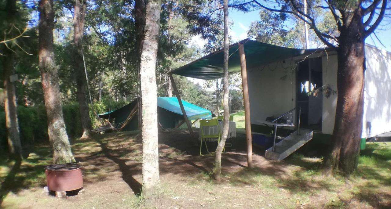 Al Bosque Hostel & Glamping Santa Elena  Eksteriør billede