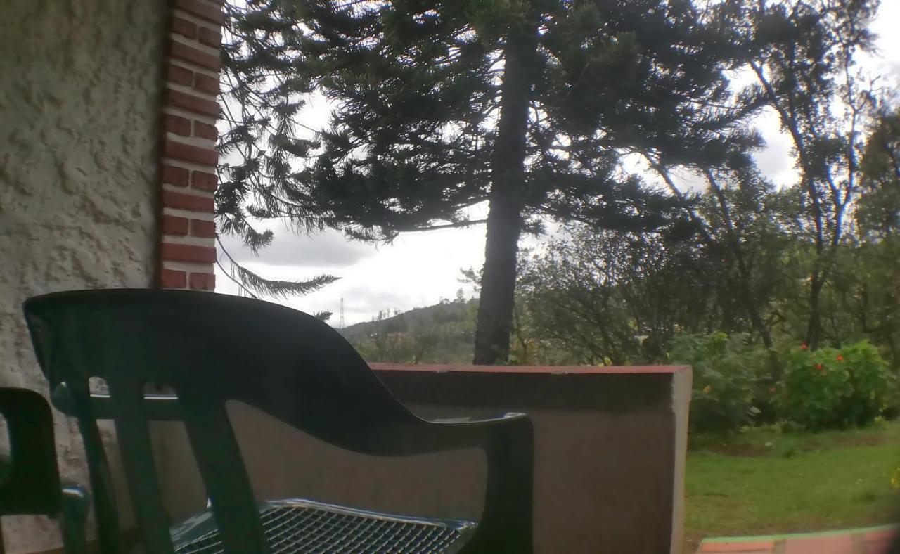 Al Bosque Hostel & Glamping Santa Elena  Værelse billede